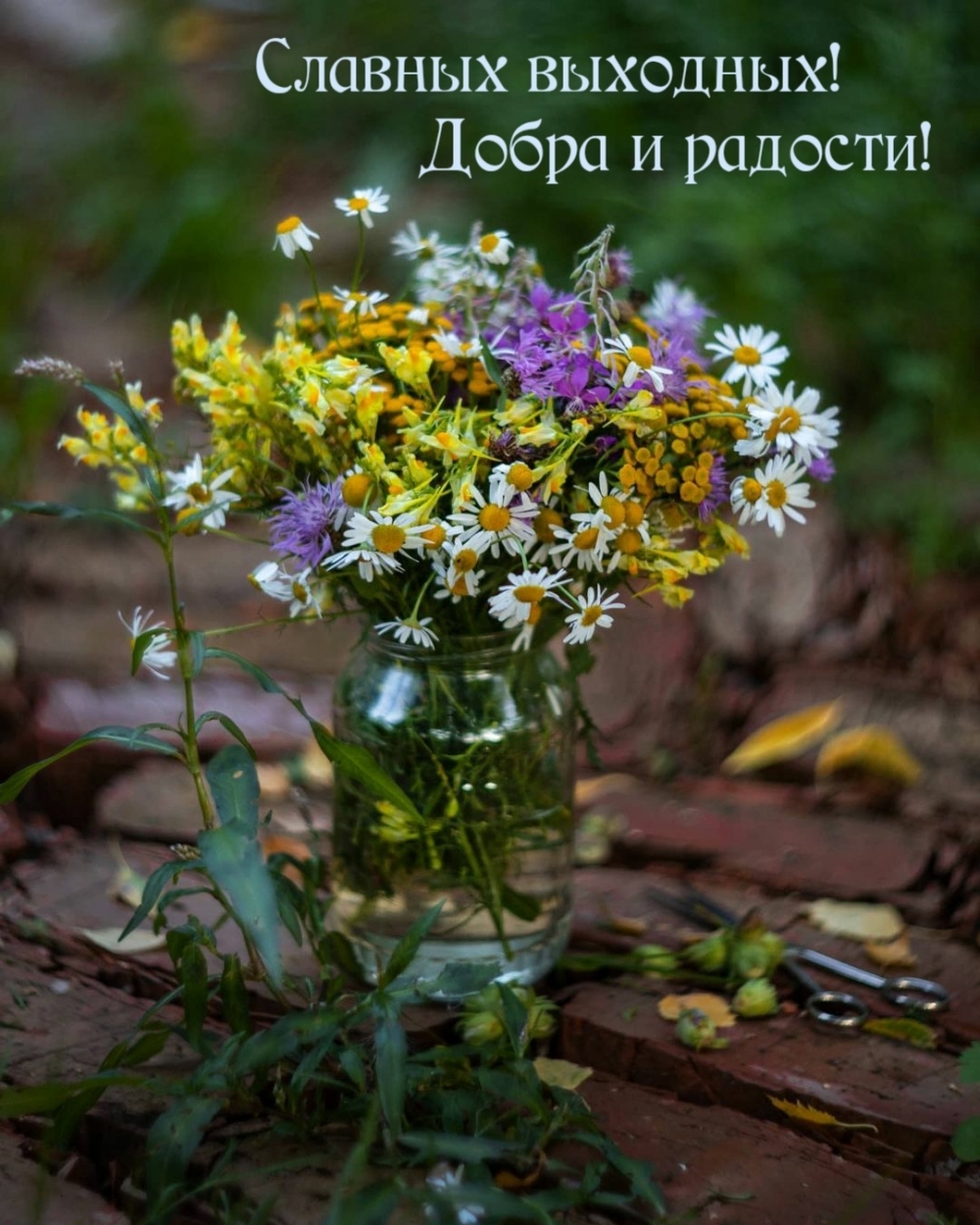 Славных выходных! Добра и радости!