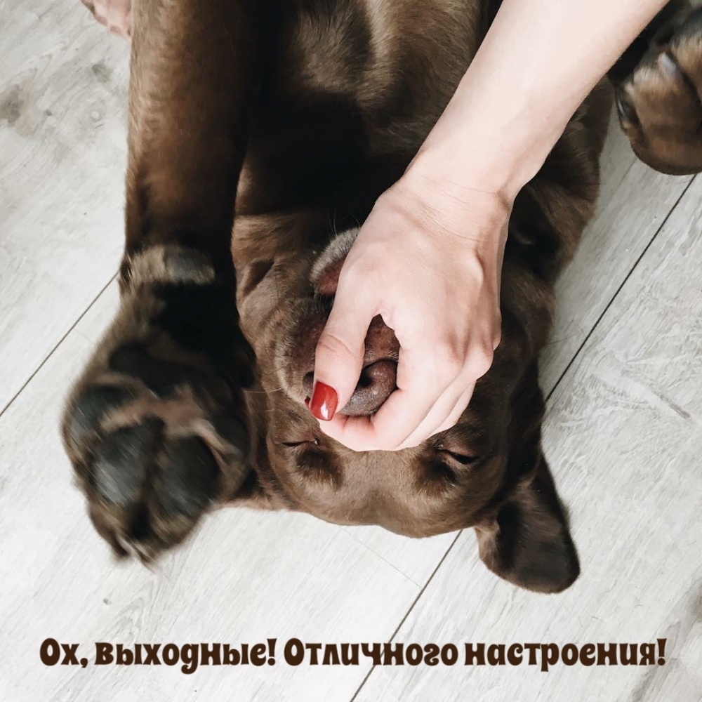 Ох, выходные! Отличного настроения!