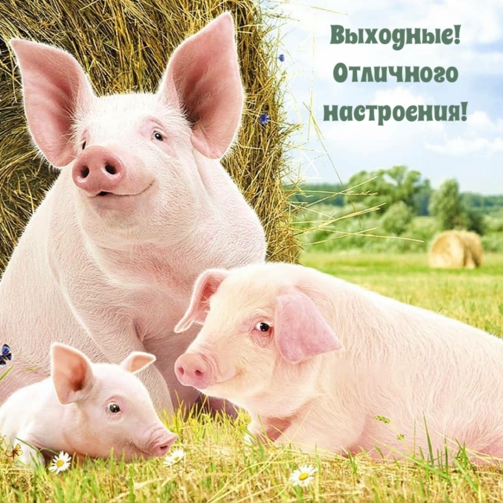 Выходные! Отличного настроения!