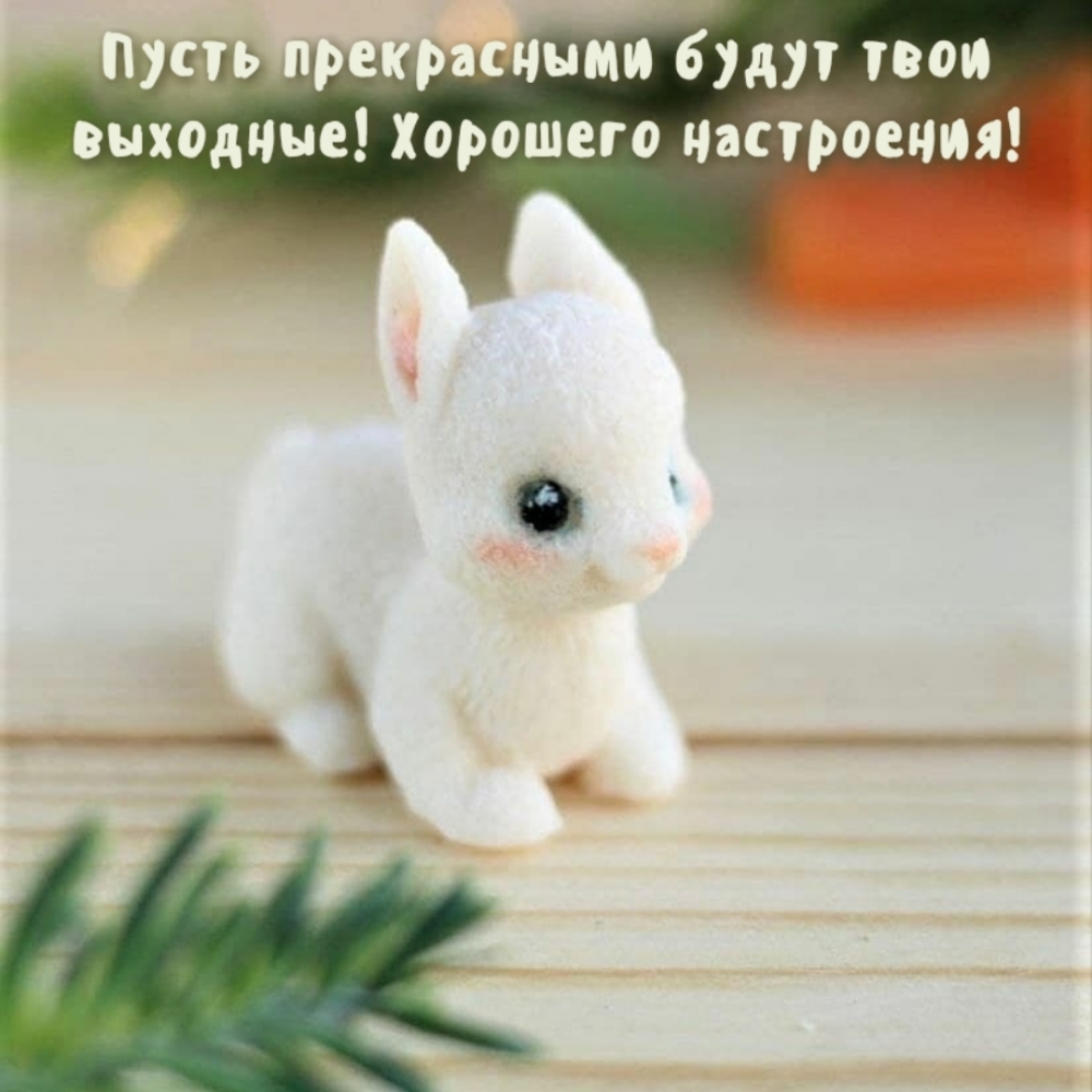 Пусть прекрасными будут твои выходные! Хорошего настроения!