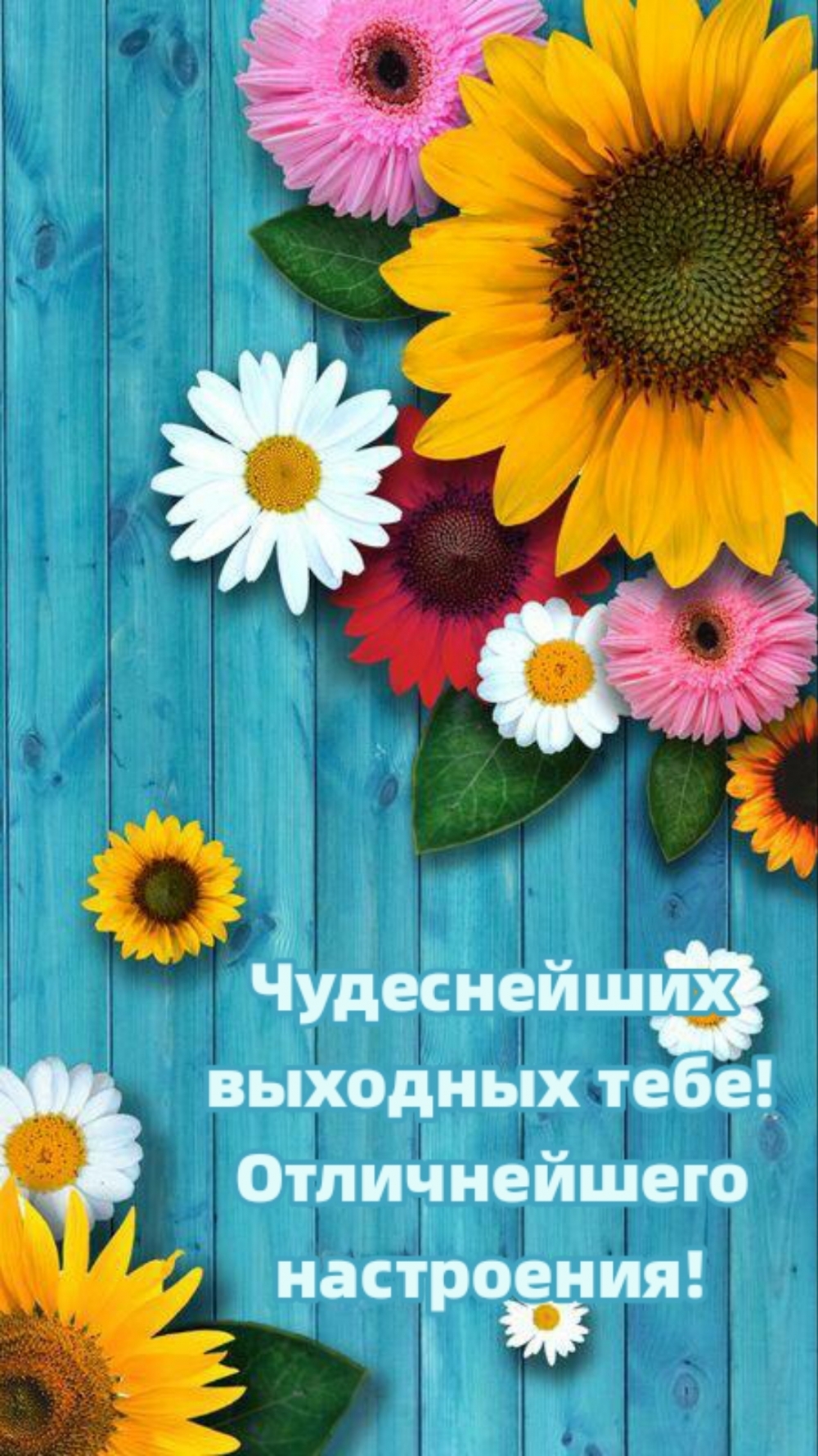 Чудеснейших выходных тебе! Отличнейшего настроения!