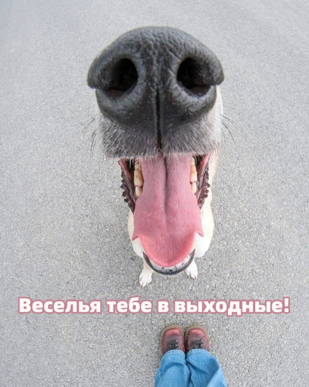Веселья тебе в выходные!