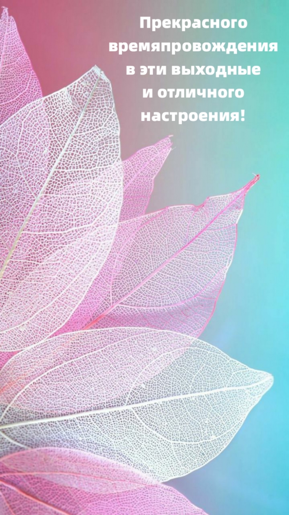 Прекрасного времяпровождения в эти выходные
