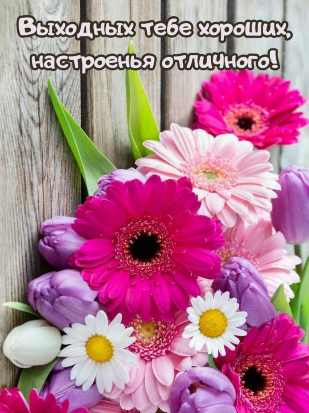 Выходных тебе хороших, настроенья отличного!
