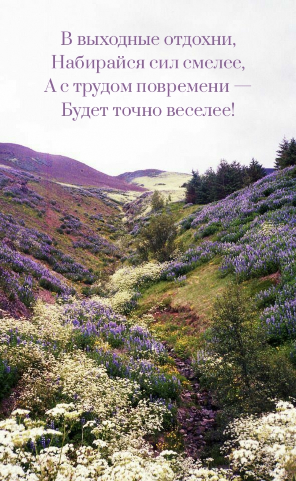 В выходные отдохни, набирайся сил смелее