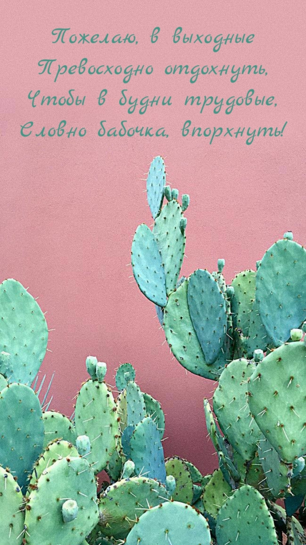 Пожелаю, в выходные превосходно отдохнуть