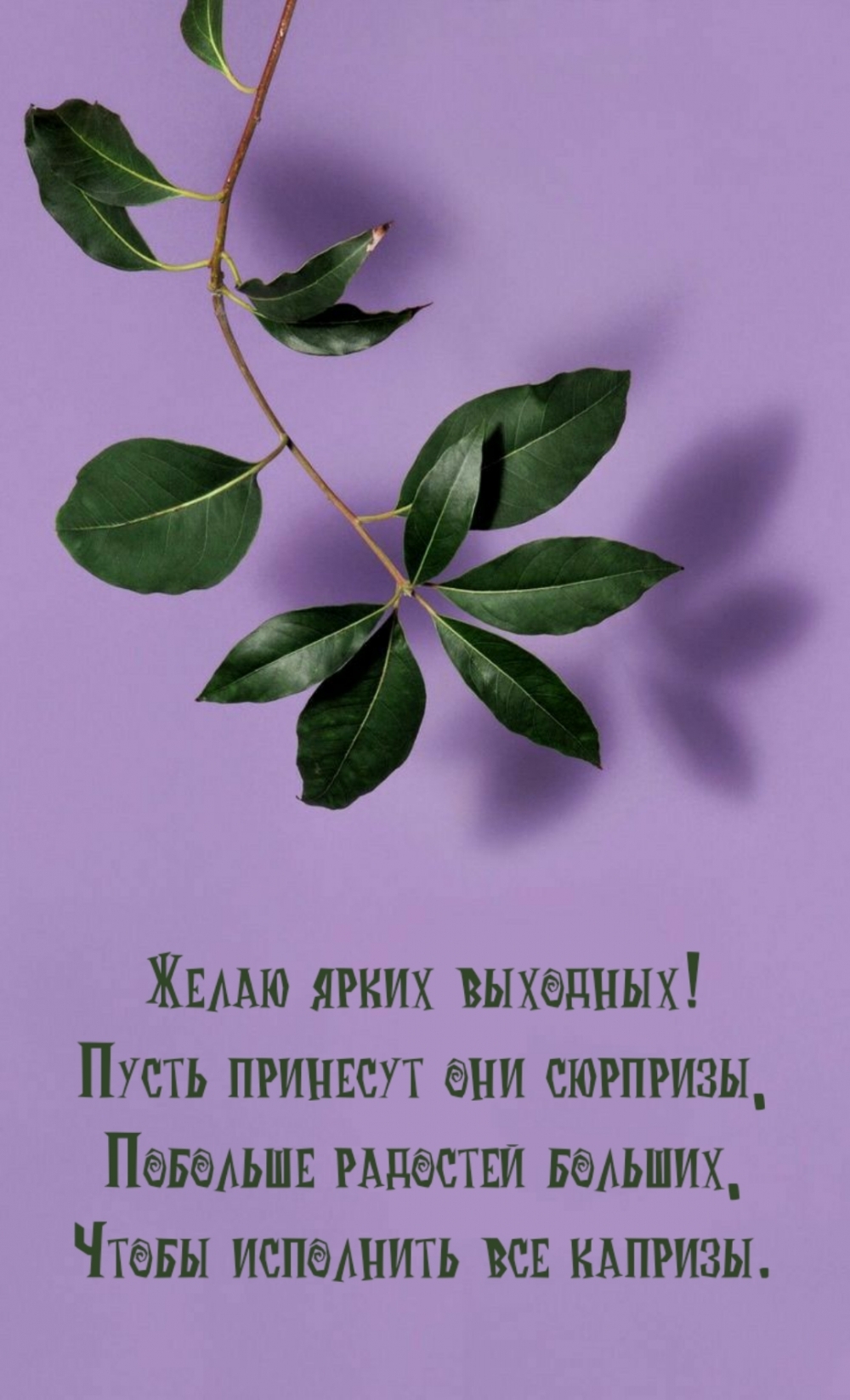 Желаю ярких выходных!