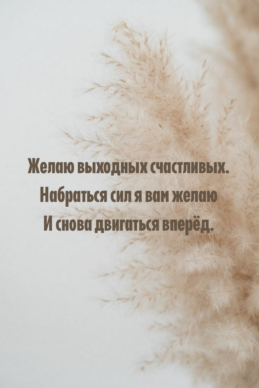 Желаю выходных счастливых.