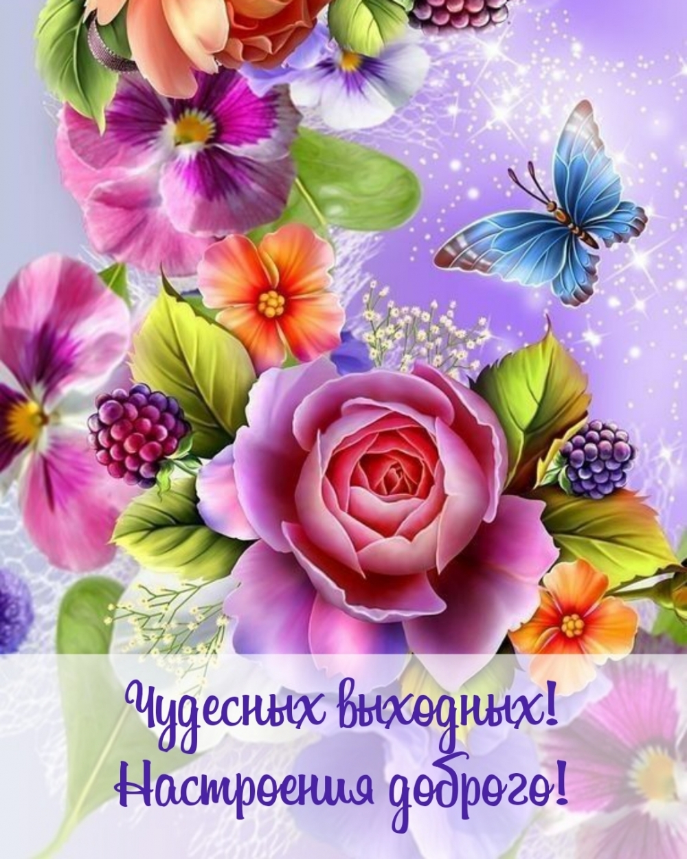 Чудесных выходных! Настроения доброго!