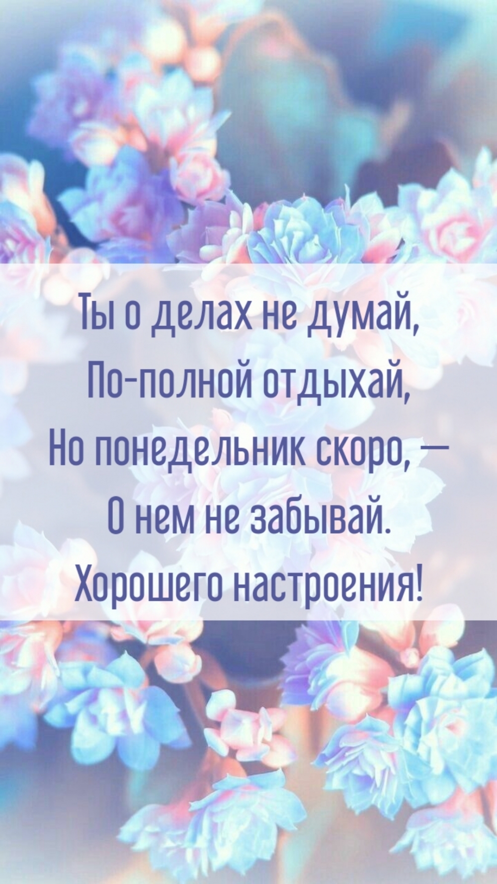 Понедельник скоро, — о нем не забывай. Хорошего настроения!