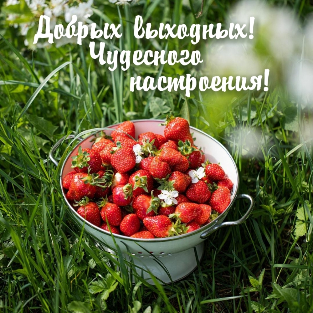 Добрых выходных! Чудесного настроения!