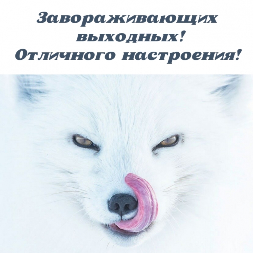 Завораживающих выходных! Отличного настроения!
