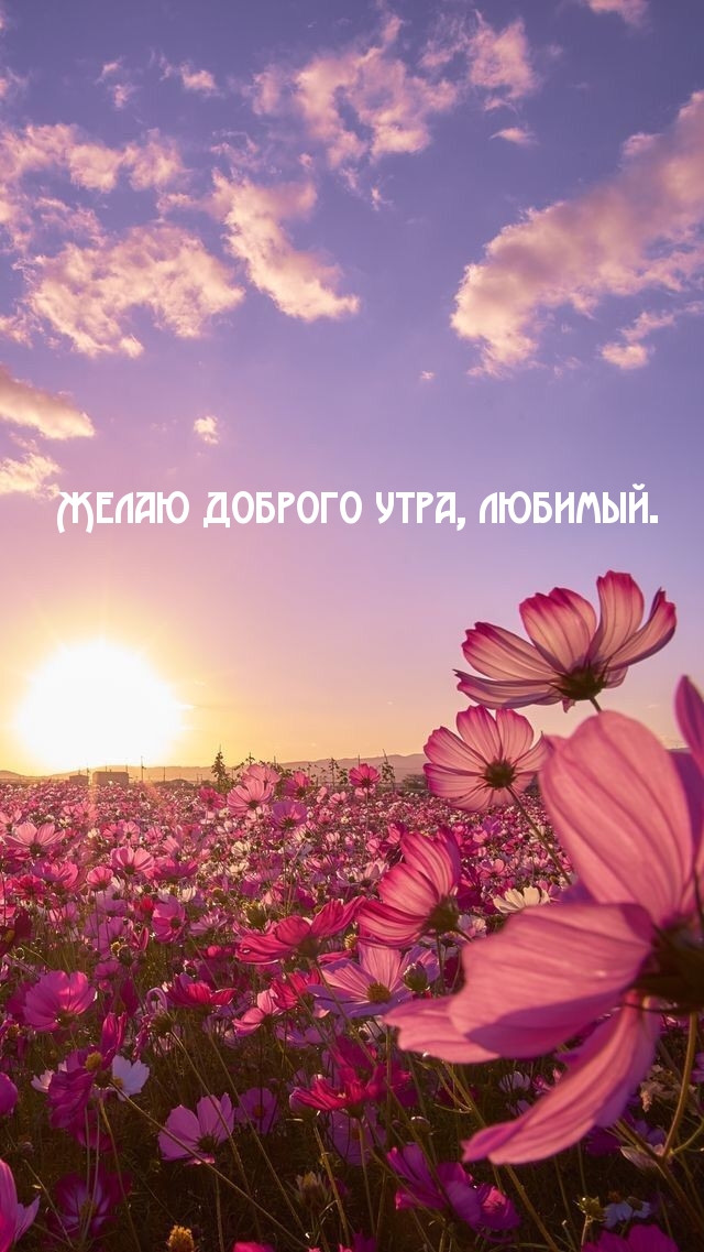 Желаю доброго утра, любимый.