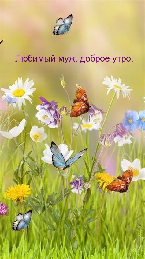 Любимый муж, доброе утро.