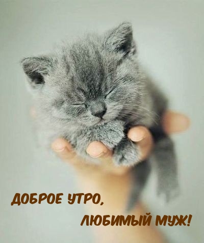 Доброе утро, любимый муж!