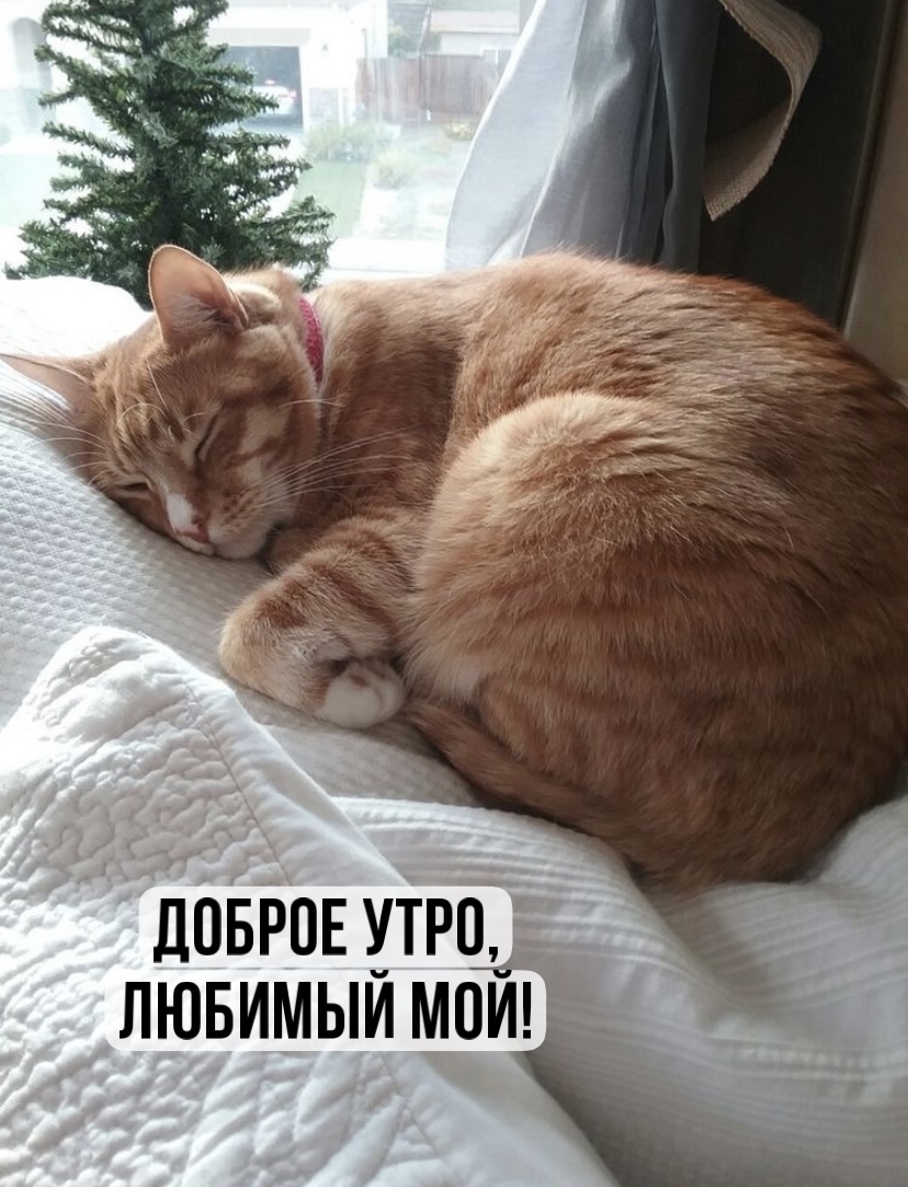 Доброе утро, любимый мой!