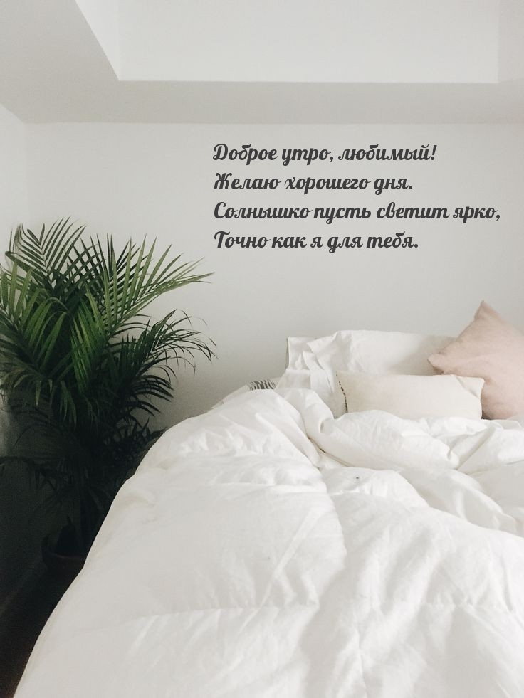Доброе утро, любимый! Желаю хорошего дня.