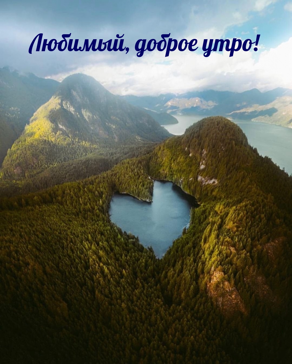 Любимый, доброе утро!