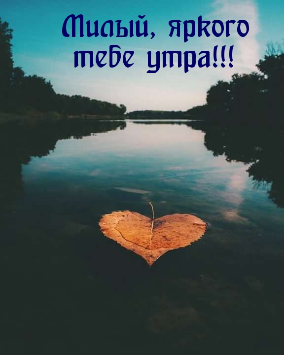 Картинка - Милый, яркого тебе утра!.