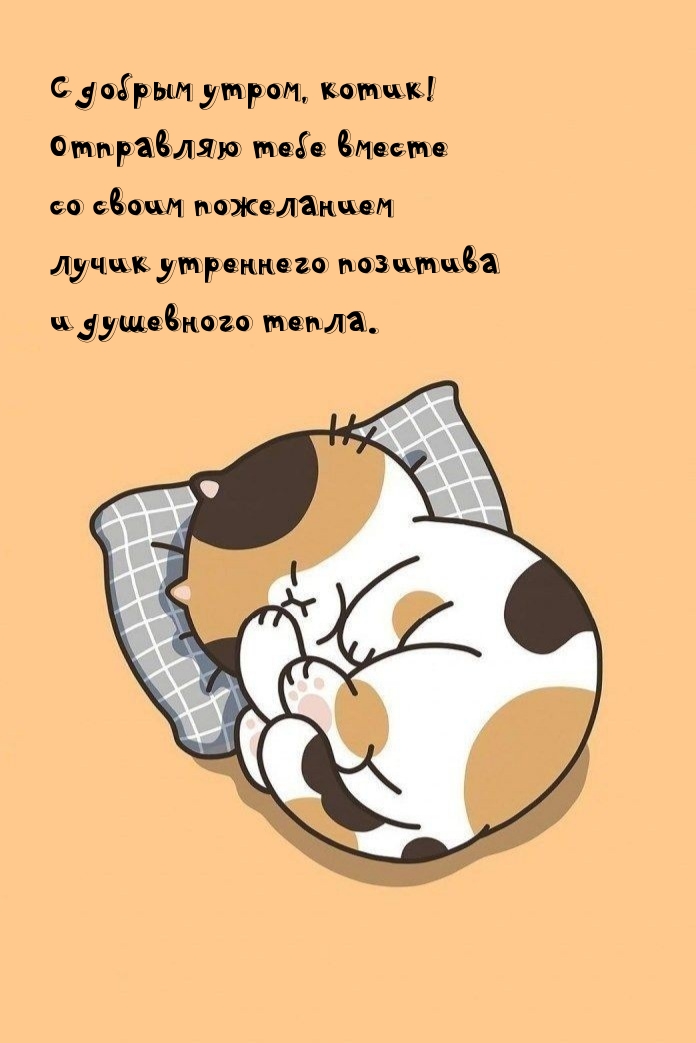 С добрым утром, котик