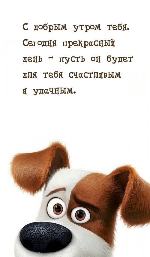 С добрым утром тебя. Сегодня прекрасный день