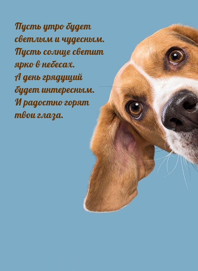 Пусть утро будет светлым и чудесным.