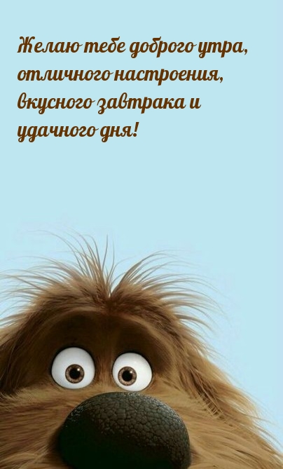 Желаю тебе доброго утра, отличного настроения
