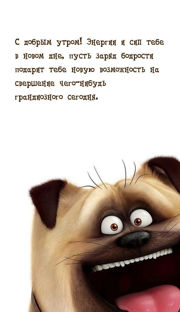 С добрым утром! Энергии и сил тебе в новом дне