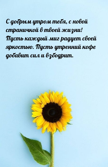 Пусть утренний кофе добавит сил и взбодрит.