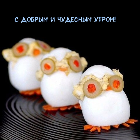С добрым и чудесным утром!