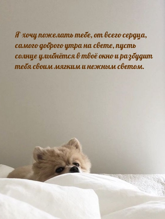 Я хочу пожелать тебе, от всего сердца, самого доброго утра