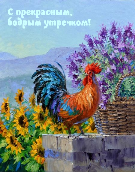 С прекрасным, бодрым утречком!