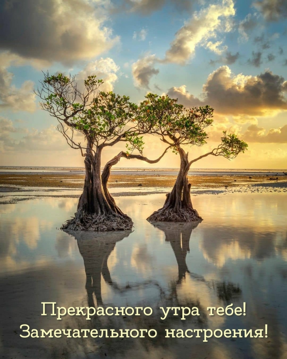 Прекрасного утра тебе! Замечательного настроения!