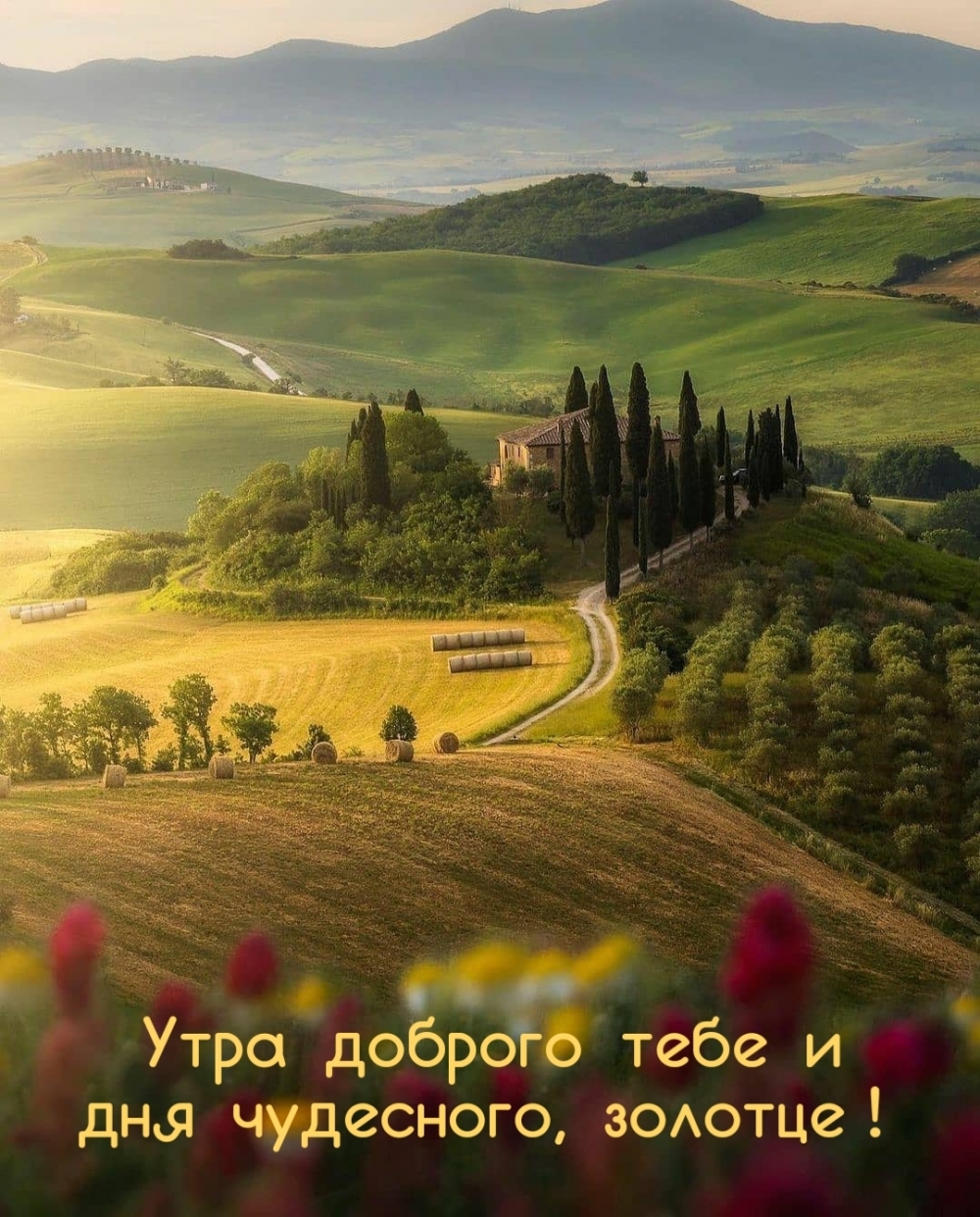 Утра доброго тебе и дня чудесного, золотце!