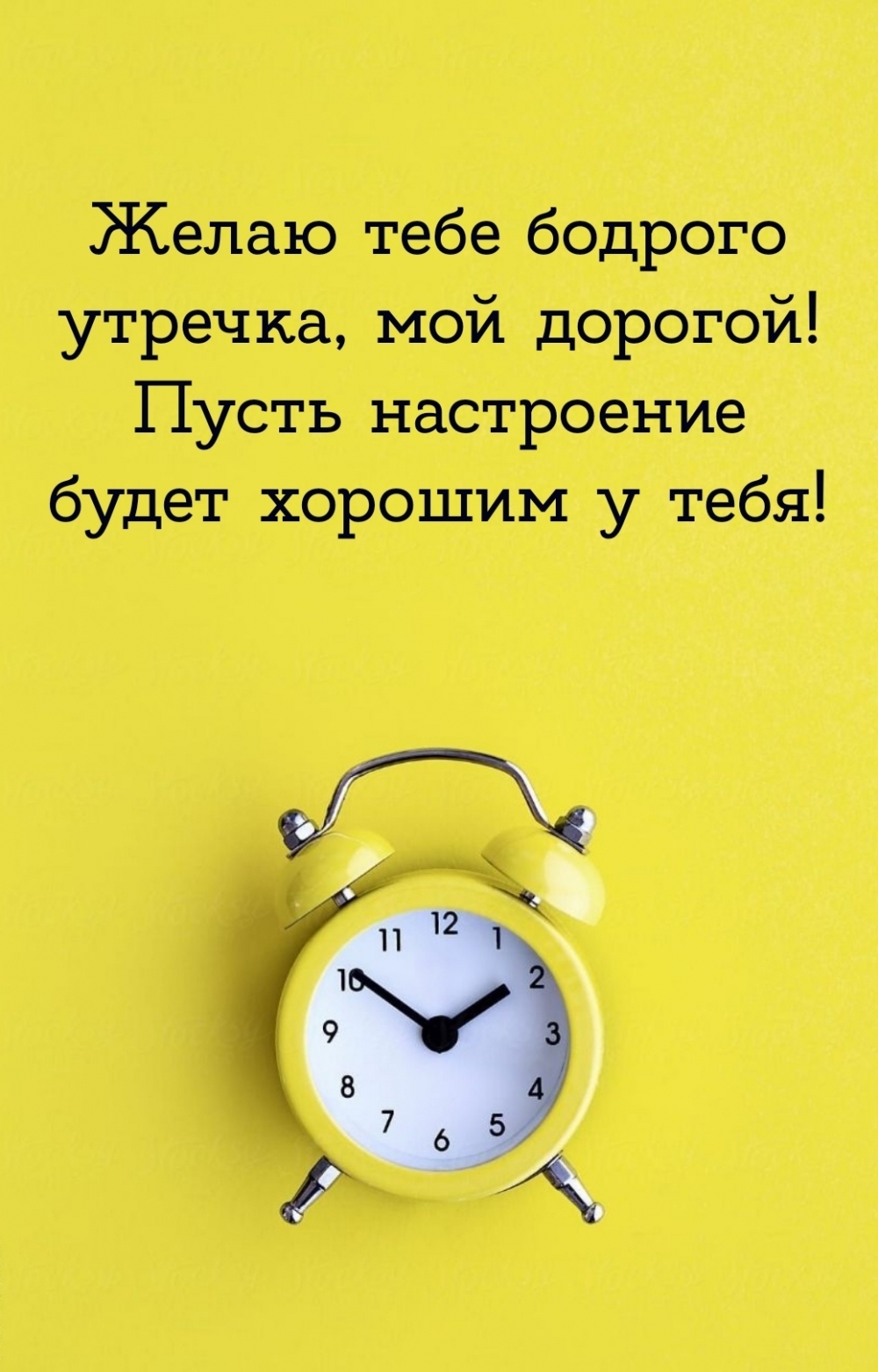 Желаю тебе бодрого утречка, мой дорогой!