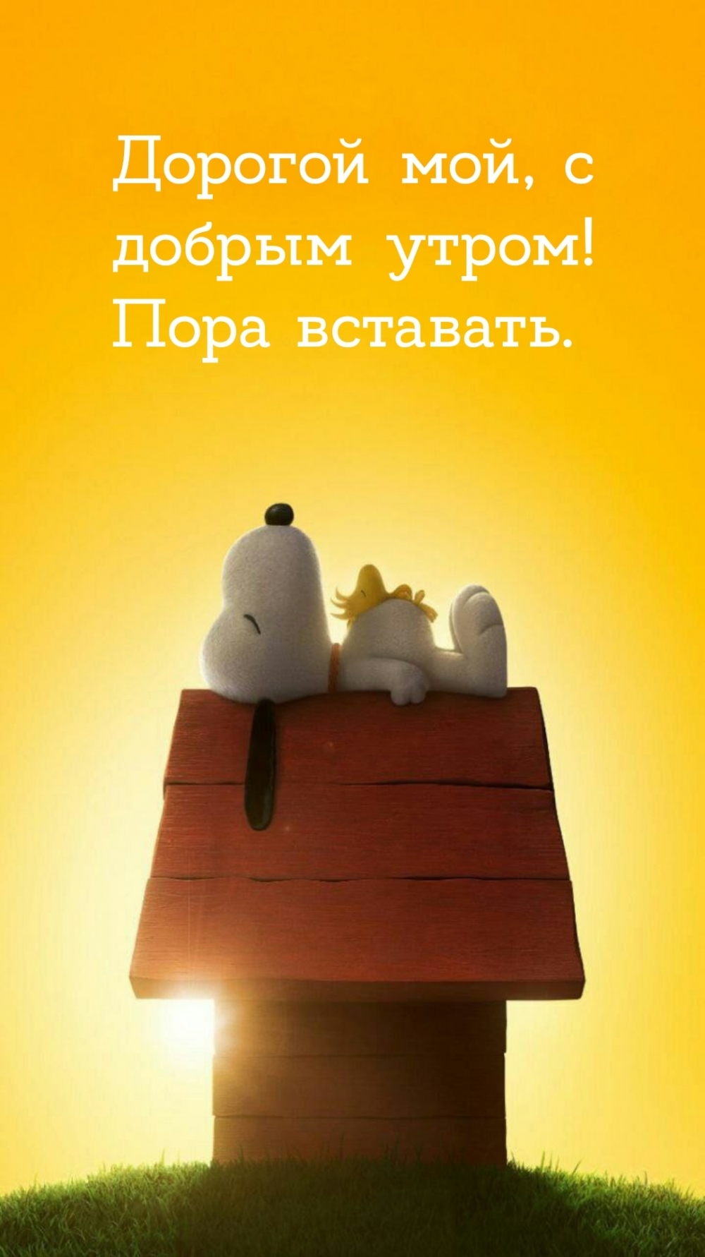 Дорогой мой, с добрым утром! Пора вставать.