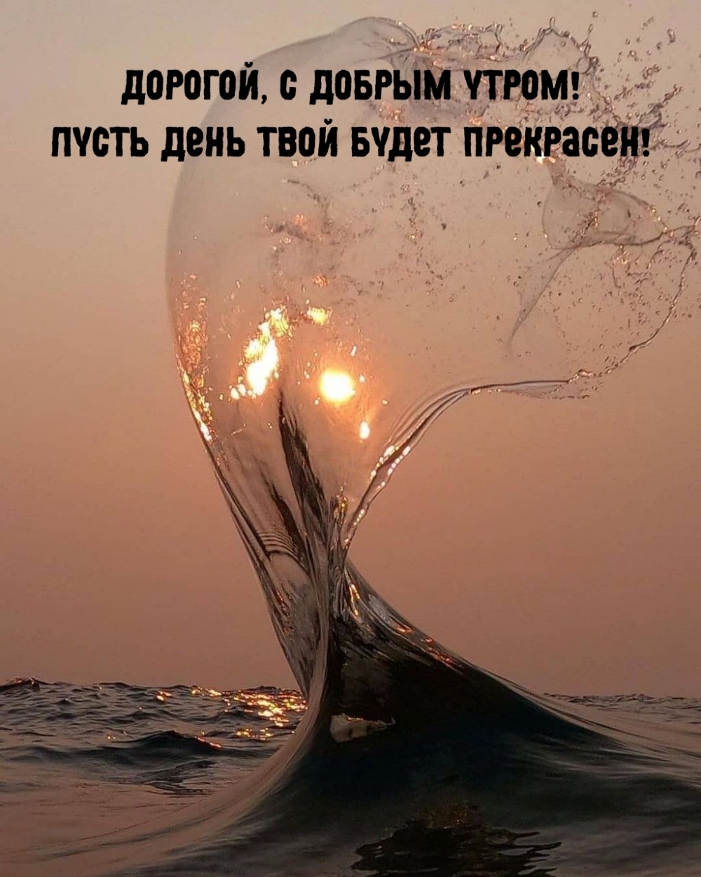Дорогой, с добрым утром! Пусть день твой будет прекрасен!