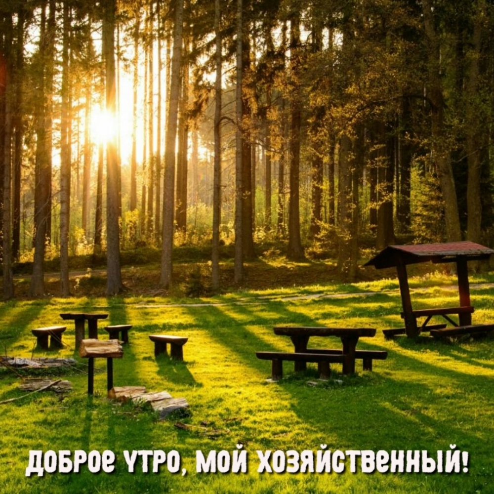 Доброе утро, мой хозяйственный!