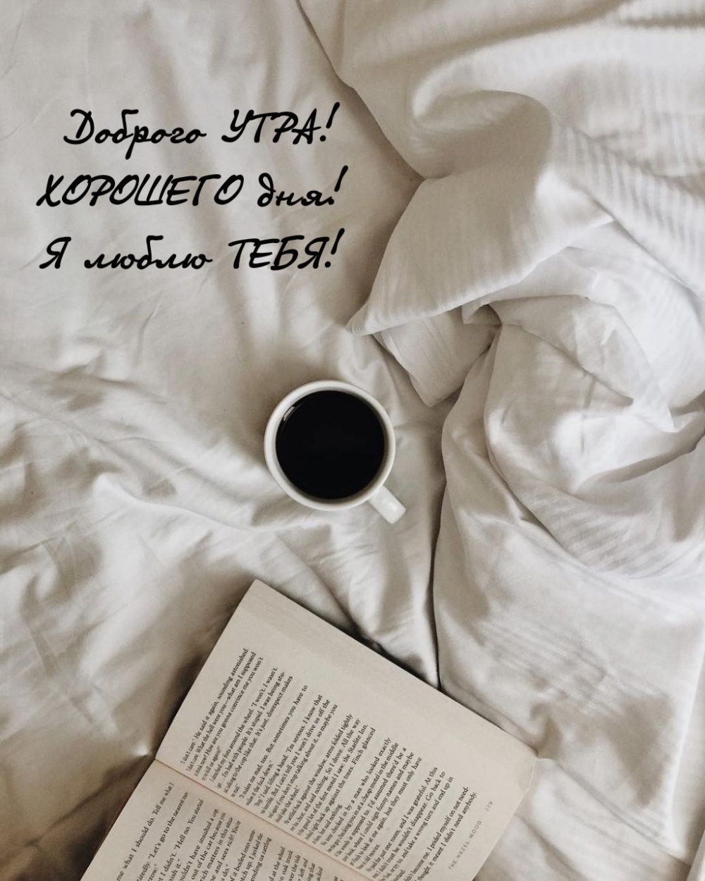 Доброго УТРА! ХОРОШЕГО дня! Я люблю ТЕБЯ!
