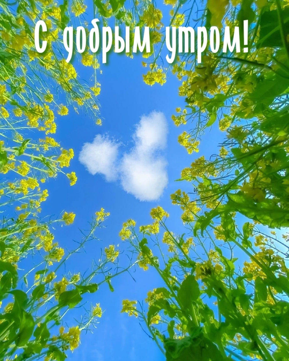 С добрым утром!