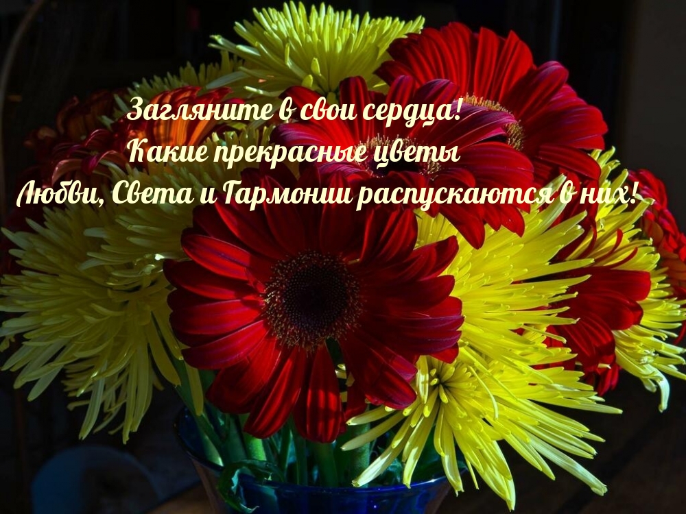 Загляните в свои сердца!