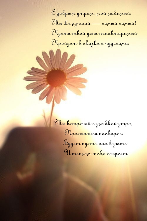 С добрым утром, мой любимый.