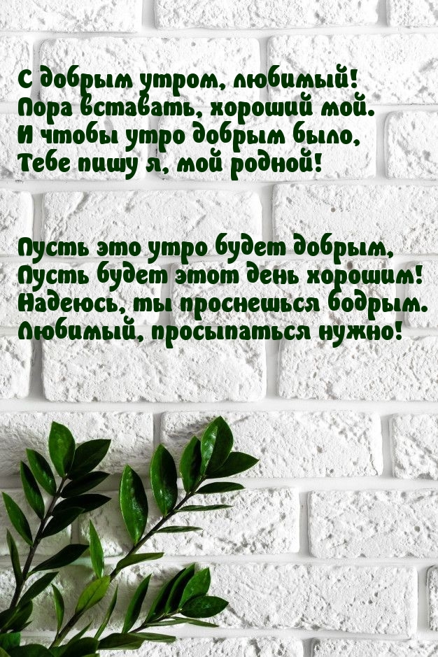 С добрым утром, любимый! Пора вставать, хороший мой.