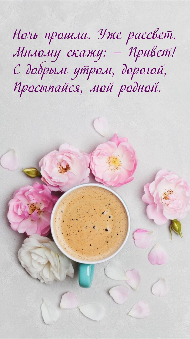 Ночь прошла. Уже рассвет. Милому скажу: — Привет!