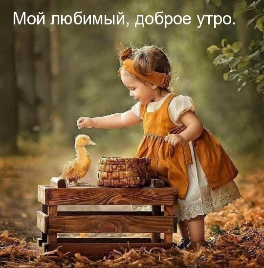 Мой любимый, доброе утро.
