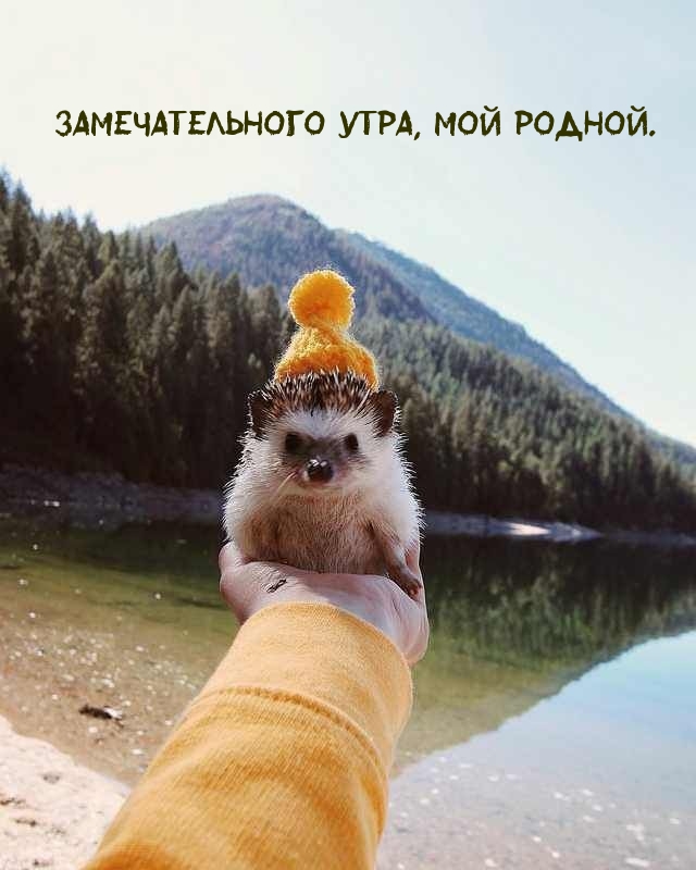 Замечательного утра, мой родной.
