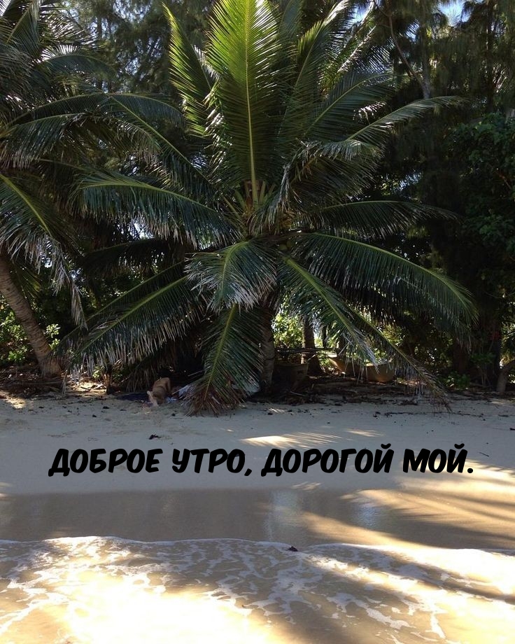 Доброе утро, дорогой мой.