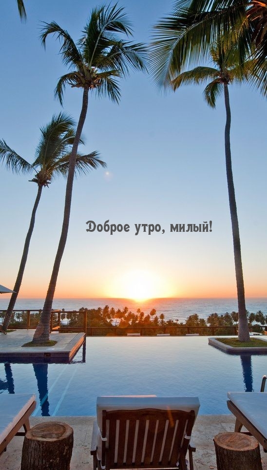 Доброе утро, милый!