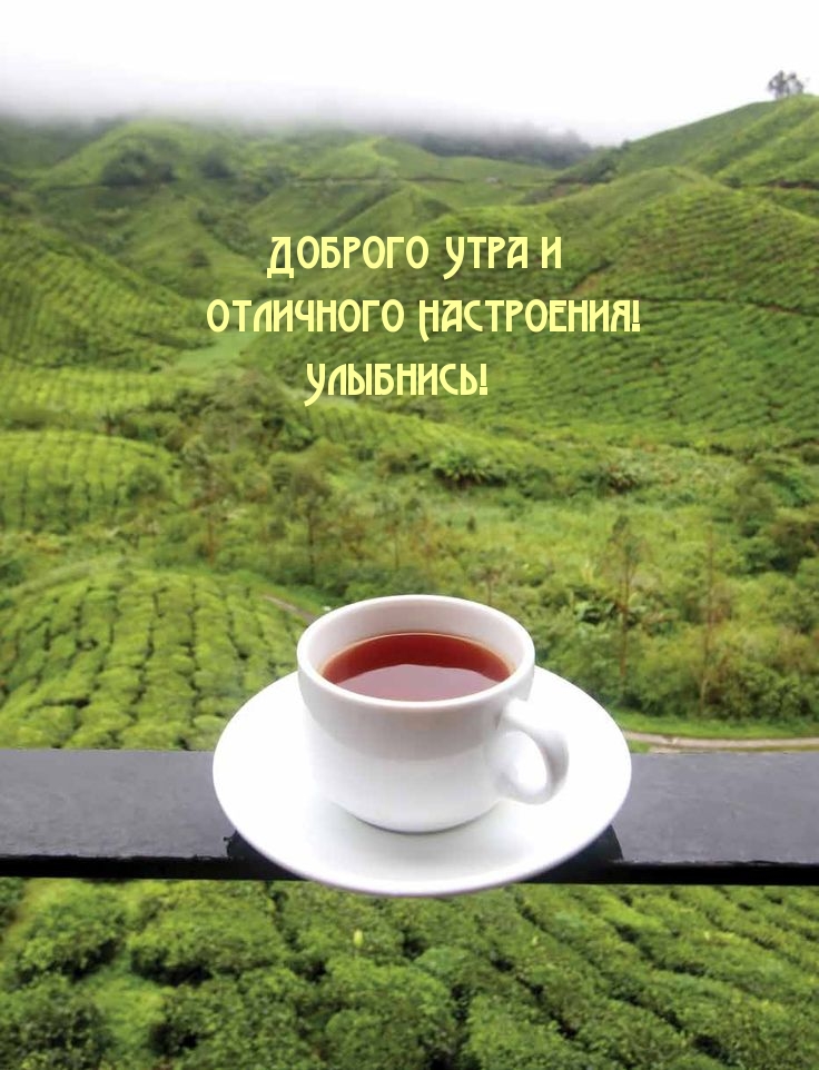 Доброго Утра и Отличного настроения! Улыбнись!