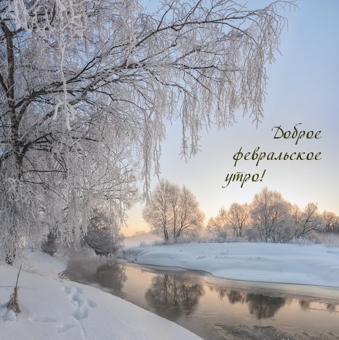 Доброе февральское утро!